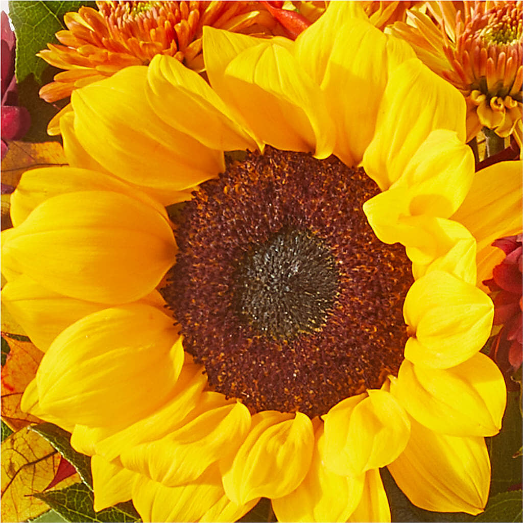 Sunny Side Bouquet –  Flowerama #186, Oklahoma City OK