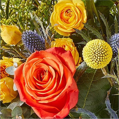 Disco Bouquet –  Flowerama #186, Oklahoma City OK