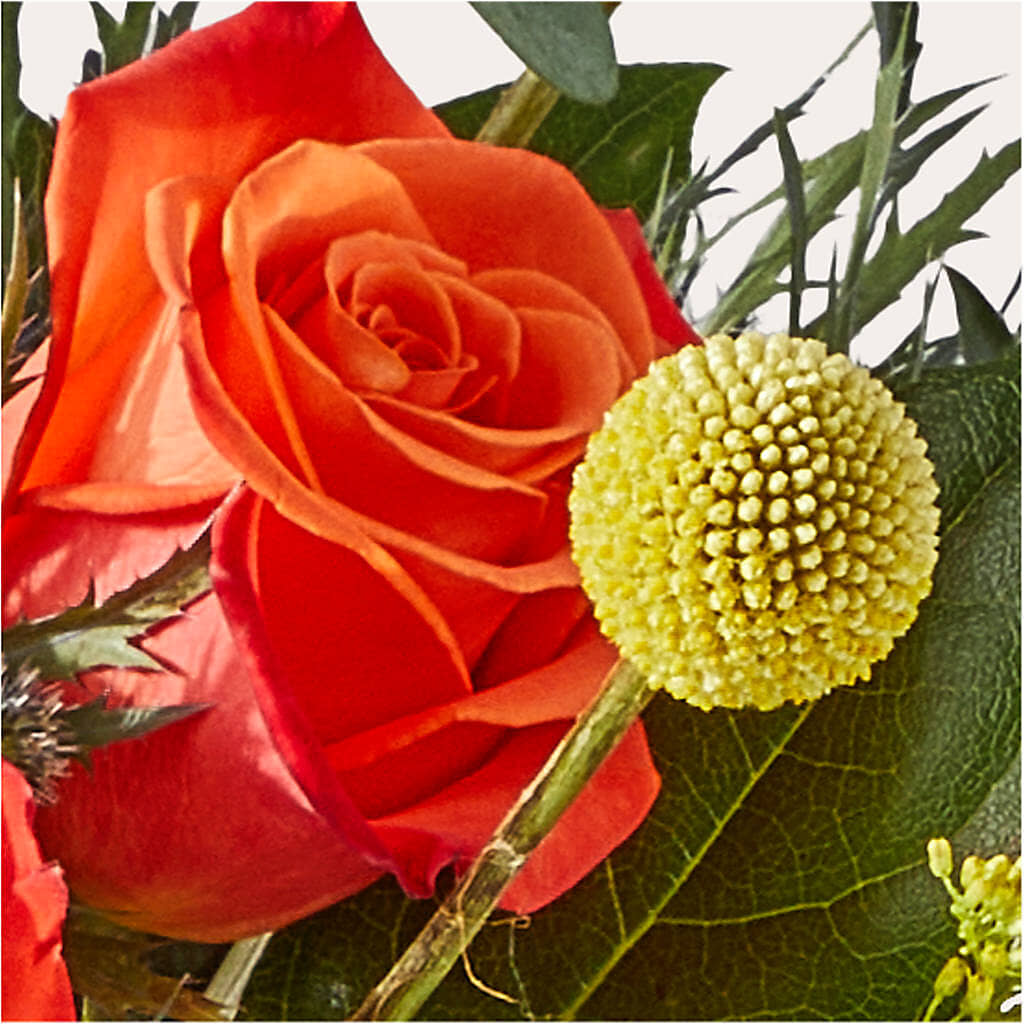 Disco Bouquet –  Flowerama #186, Oklahoma City OK