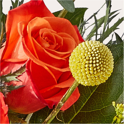 Disco Bouquet –  Flowerama #186, Oklahoma City OK
