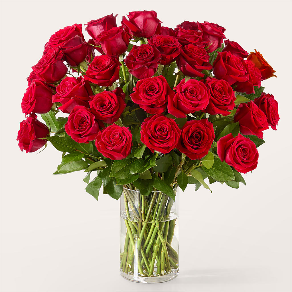 The One Red Rose Bouquet –  Flowerama #186, Oklahoma City OK