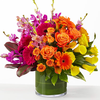 The Mosaic –  Flowerama #186, Oklahoma City OK