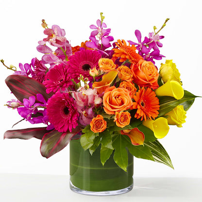 The Mosaic –  Flowerama #186, Oklahoma City OK