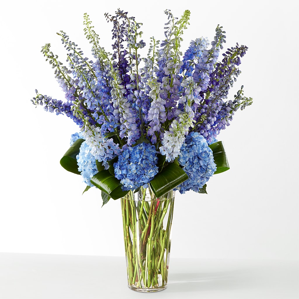 The Editorial –  Flowerama #186, Oklahoma City OK