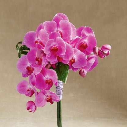 Glorious Bouquet –  Flowerama #186, Oklahoma City OK