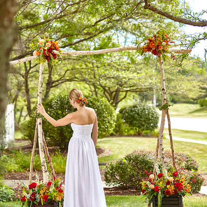 Arbor of Love Archway –  Flowerama #186, Oklahoma City OK