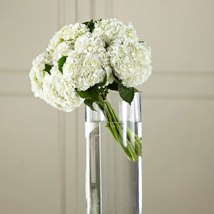 White Hydrangea Hand-Tied Bouquet –  Flowerama #186, Oklahoma City OK