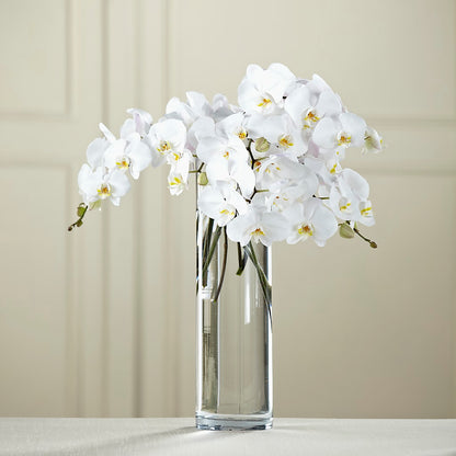 White Phalaenopsis Bouquet –  Flowerama #186, Oklahoma City OK