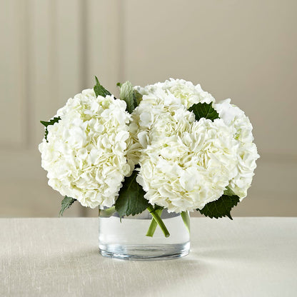 White Hydrangea Bouquet –  Flowerama #186, Oklahoma City OK